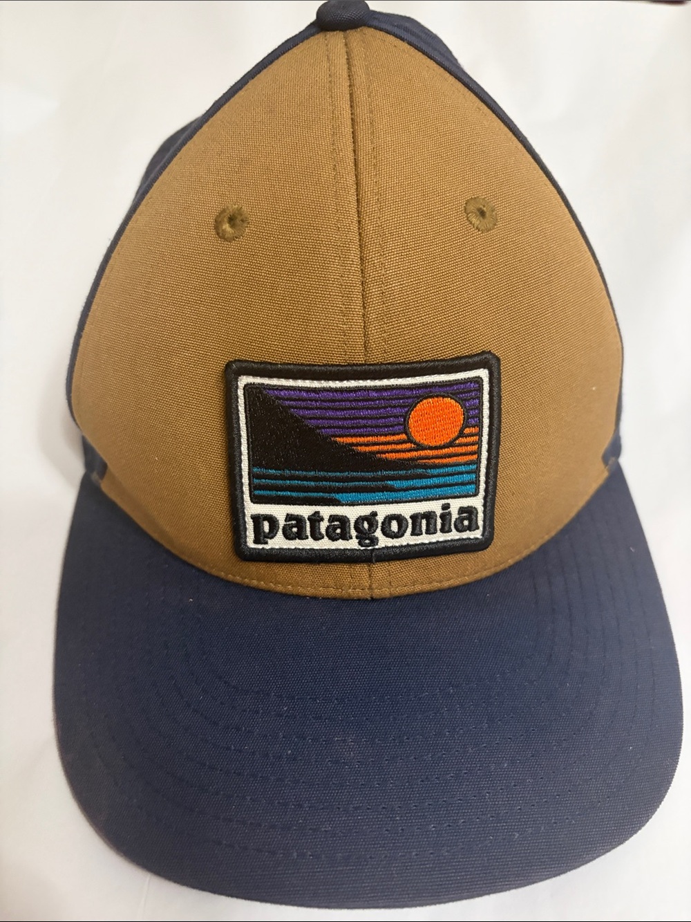 Patagonia Brown & Navy Trucker Cap with Sunset Patch